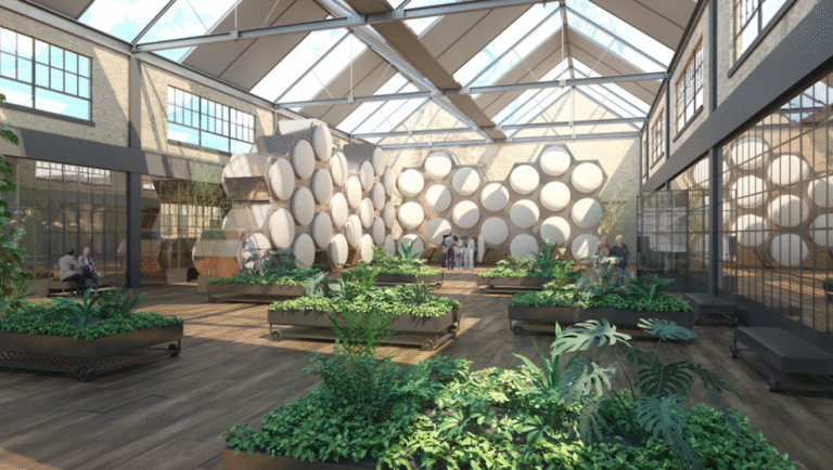 The Revolutionary Green Alternative to Traditional Cremation